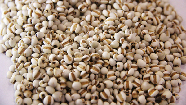 孩子肠胃吃什么药治疗好 调理肠胃的药有哪些