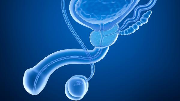 爱廷玖主要成份是什么?