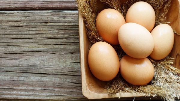 免疫球蛋白G偏低说明什么