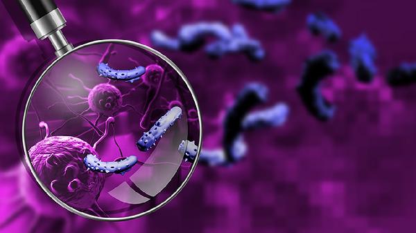 送检的大便不能超过多长时间