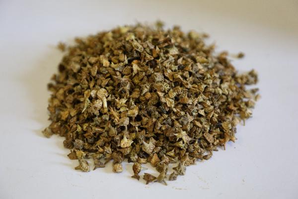 中医如何治疗结节性痒疹的方法