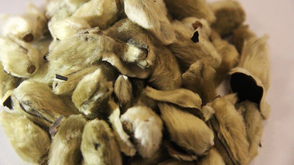 治疗肾炎的药物有哪些呢 肾炎用什么药介绍