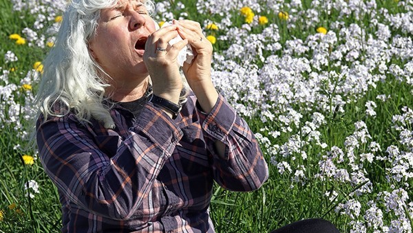 一打喷嚏就流脓鼻涕该怎么办 打喷嚏流鼻涕吃什么药