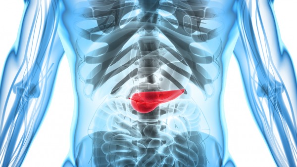 胰腺炎怎么用药治疗好 胰腺炎如何用药呢