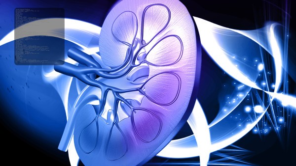 盐酸小檗胺片那有卖的 盐酸小檗胺片的用法用量