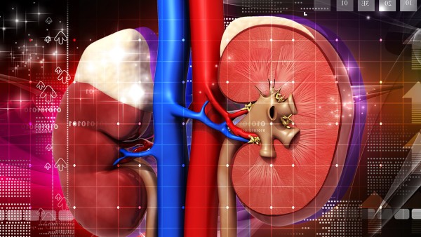 盐酸小檗胺片的副作用是什么呢 盐酸小檗胺片的注意事项有哪些