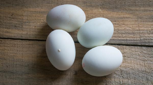 免疫球蛋白是ig还是lg