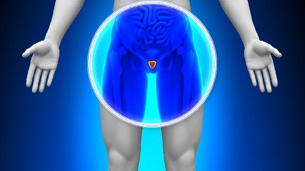 遗精盗汗是肾阴虚还是肾阳虚