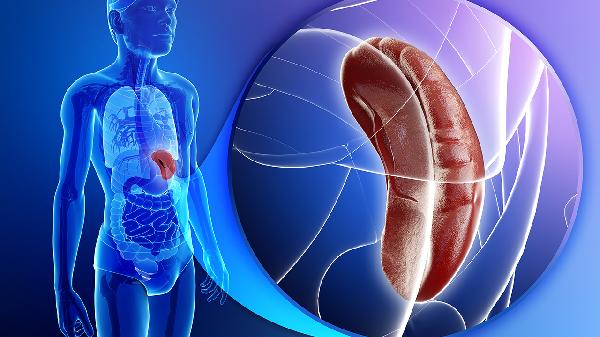 大便常规检查怎么取样要什么时候便