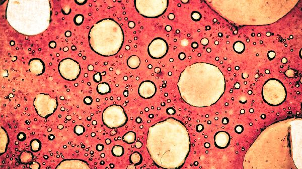 大便常规检查取样有效时间多久啊