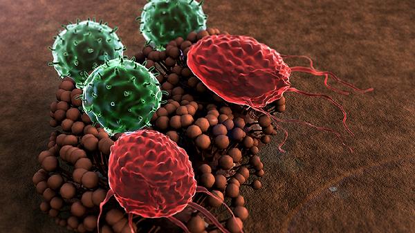 前庭大腺囊肿破了流很多血