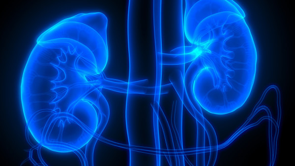 尿酸性肾病的治疗方法 尿酸性肾病吃什么中药好