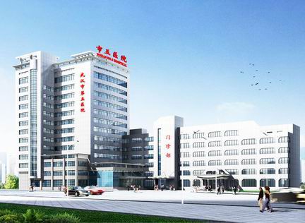 武汉市第五医院