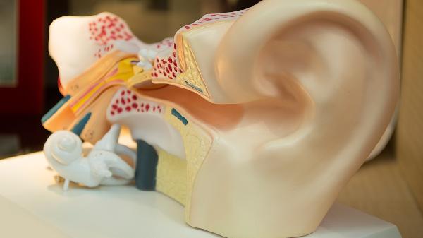 保护耳朵的注意事项有哪些呢