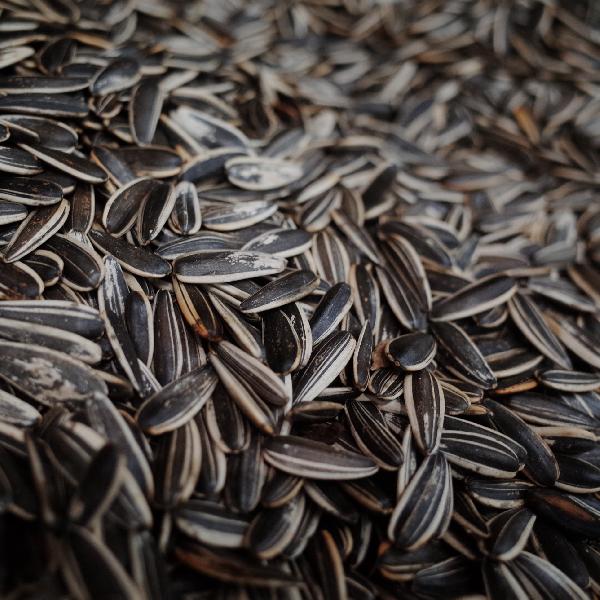 瓜子脸整形手术术后护理？