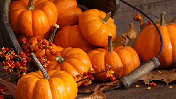 hpv饮食上应该注意什么