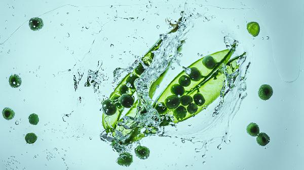 尿酸高的注意事项与饮食禁忌