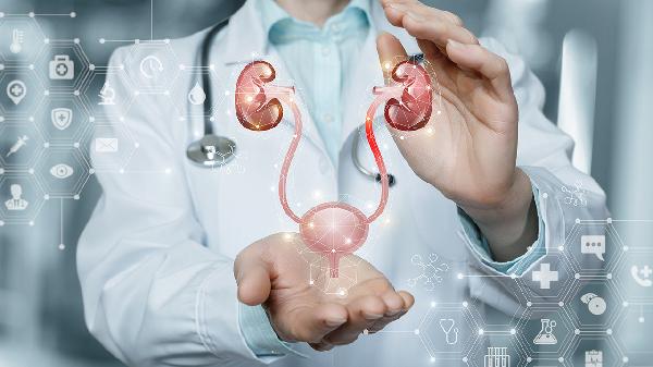 睡觉的时候遗精是因为什么原因