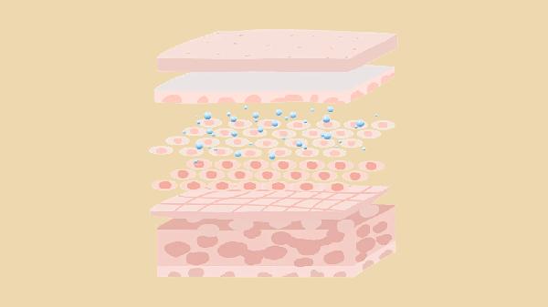 去打玻尿酸一针多少钱呢?