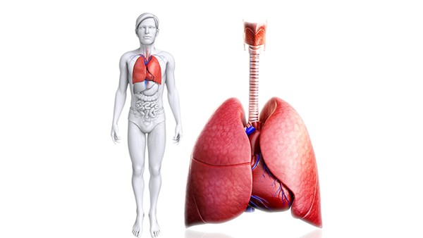 肺癌末期有什么症状？晚期肺癌能活多久？