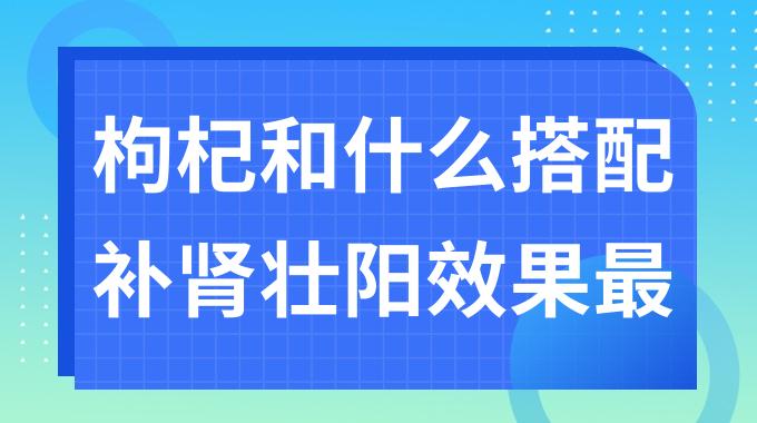 枸杞和什么搭配补肾壮阳效果最好？枸杞和什么一起泡水喝补肾最好