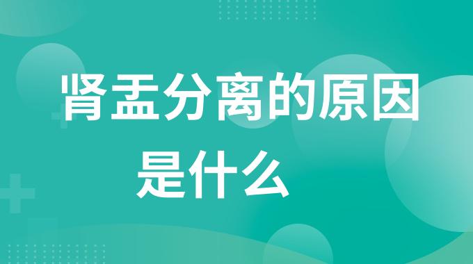 肾盂分离的原因是什么？肾盂分离是哪些原因造成的