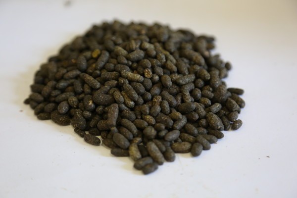 降压药有哪些副作用呢 降压药物致癌致畸作用