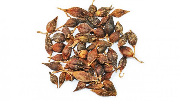 颠茄磺苄啶片是什么药 颠茄磺苄啶片的功效