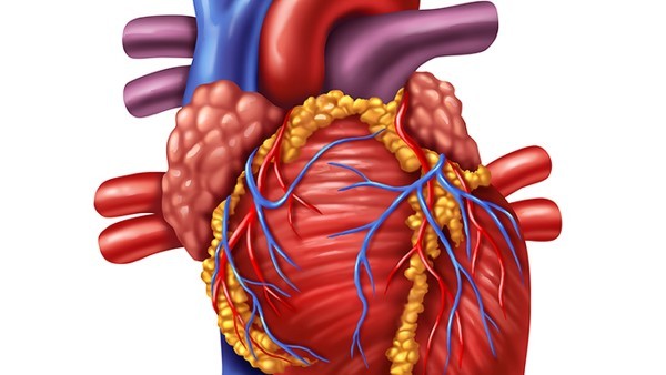 通脉养心丸的副作用有哪些 通脉养心丸的功效是什么