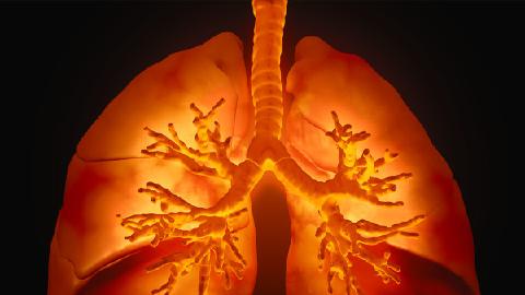 肺结核与肺心病的区别是什么？