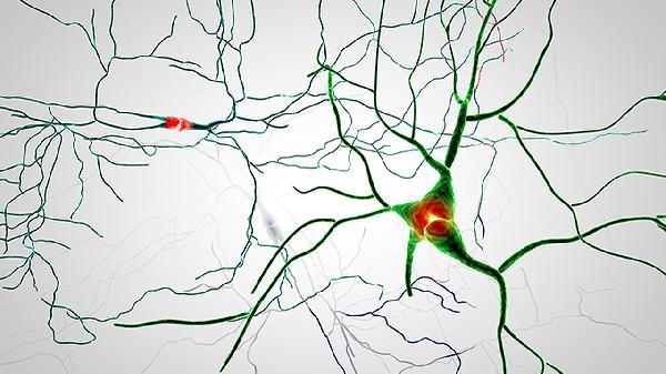 病毒感冒吃什么药