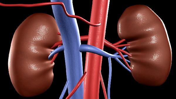 肾囊肿和肾盂囊肿一样吗严重吗