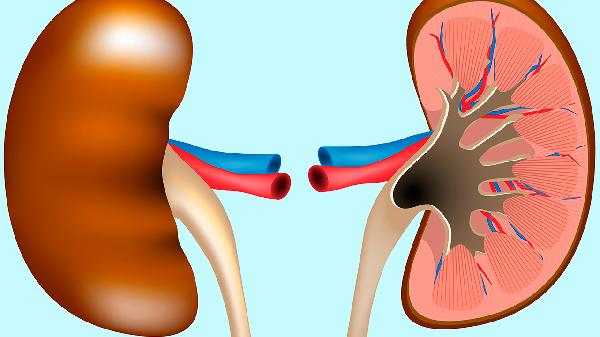 肾囊肿手术后多久恢复正常生活了呢