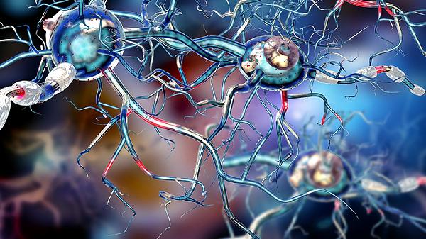 股外侧皮神经皮炎是什么症状