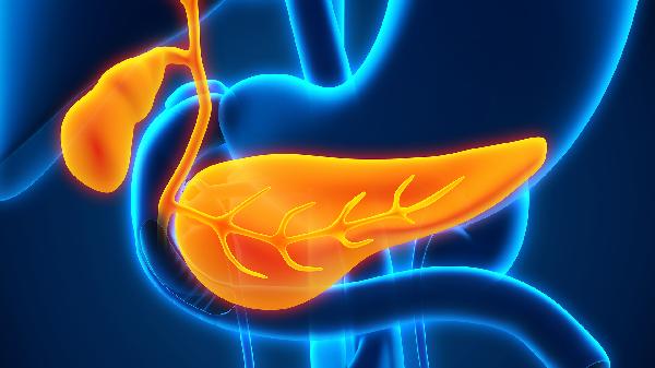 胆红素高饮食方面应注意什么?