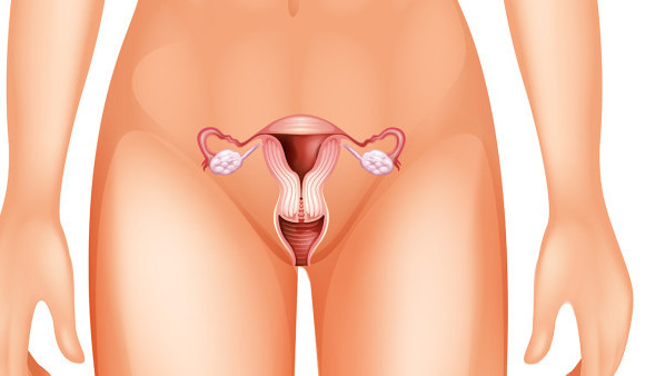 滴虫性尿道是什么原因引起的  滴虫性尿道炎吃什么药