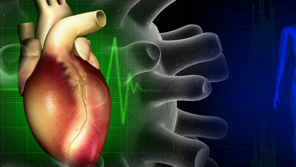 早搏吃什么药治疗好  治疗早搏吃什么药