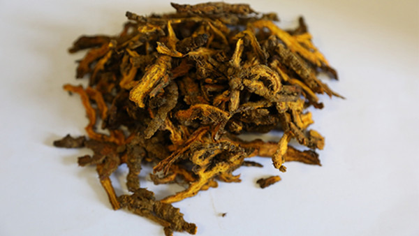 什么药会引火下行 引火下行的中药有哪些